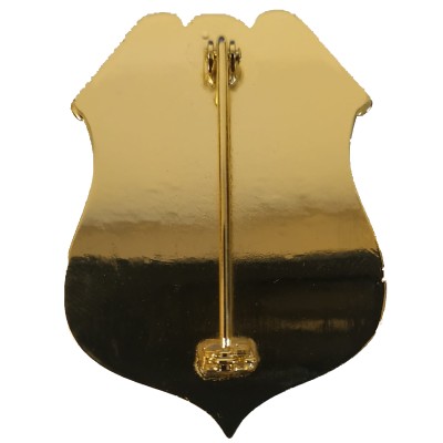PLACA USA AGENTE ESPECIAL GUARDA COSTAS