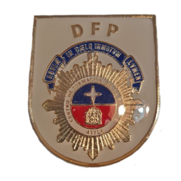 PIN DIVISION DE FORMACION Y PERFECCIONAMIENTO (DFP)