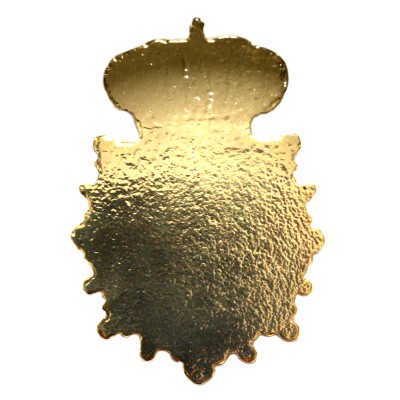 PLACA PIN CNP