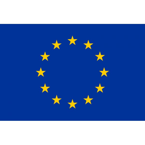 BANDERA EUROPEA (EXTERIOR)