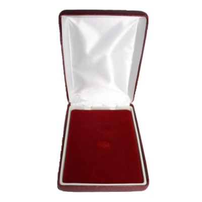 ESTUCHE DE LUJO ACOLCHADO EJERCITO DE TIERRA