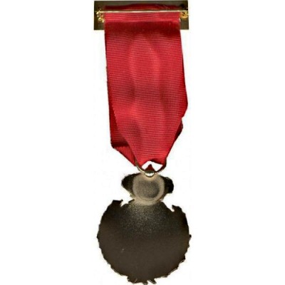 MEDALLA AL MERITO DE LA PROTECCION CIVIL DTVO ROJO ORO