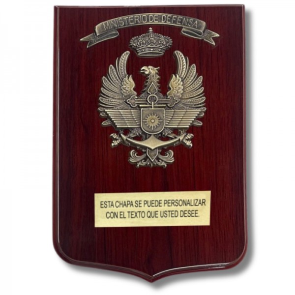 METOPA MILITAR DEL MINISTERIO DE DEFENSA DE ESPAÑA