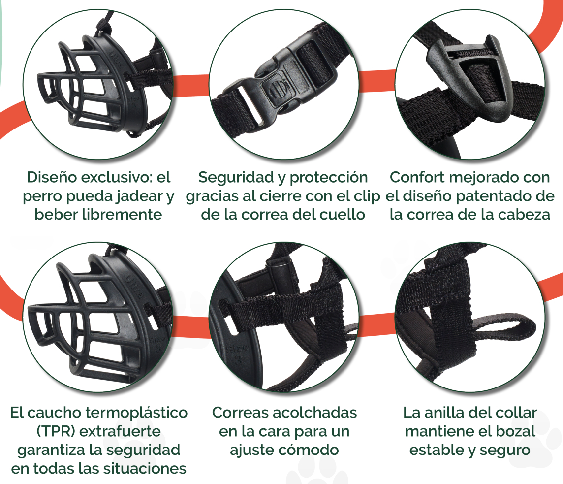 CARACTERISTICAS BASKERVILLE.jpg