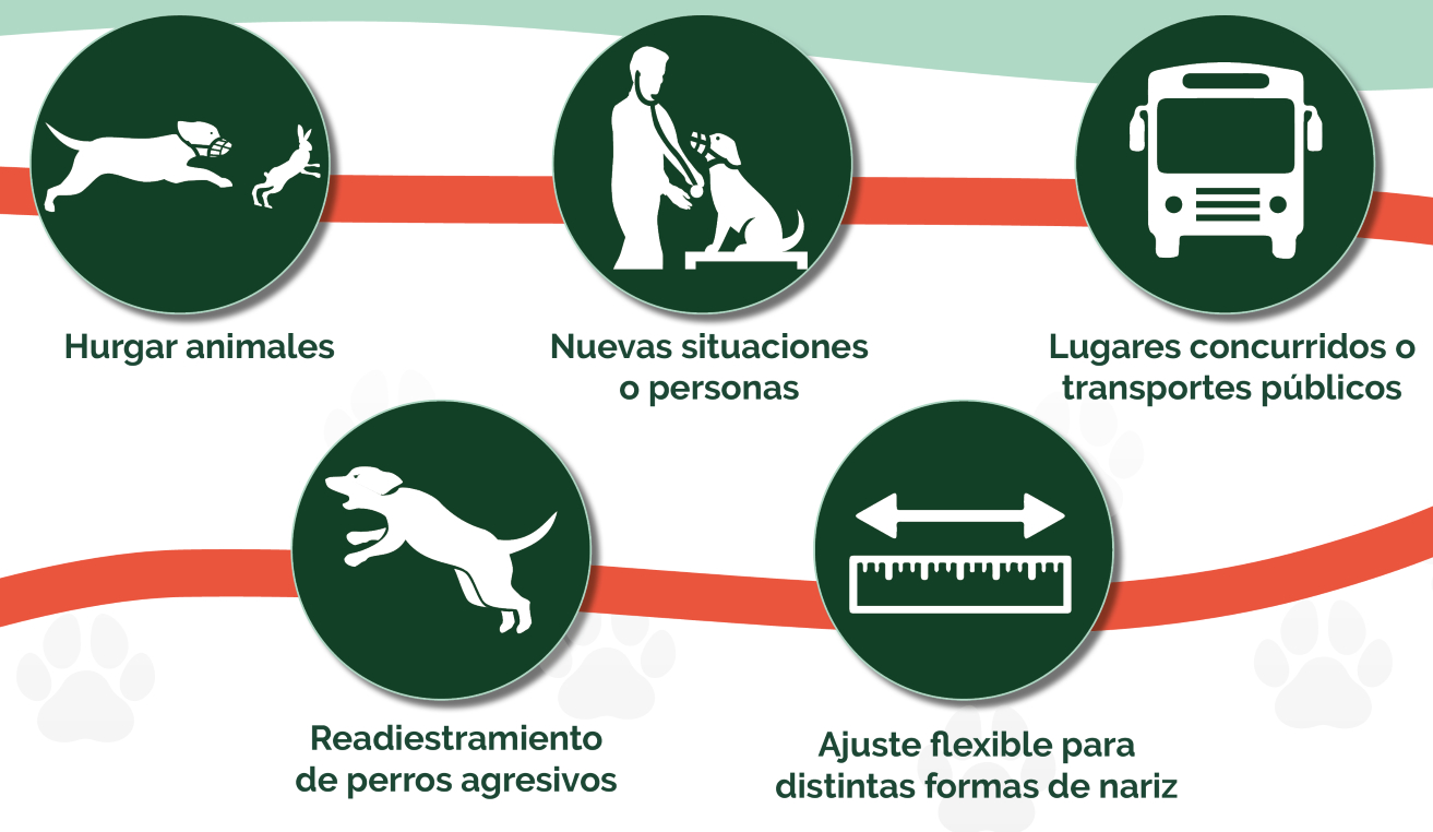 UTILIDADES BASKERVILLE.jpg